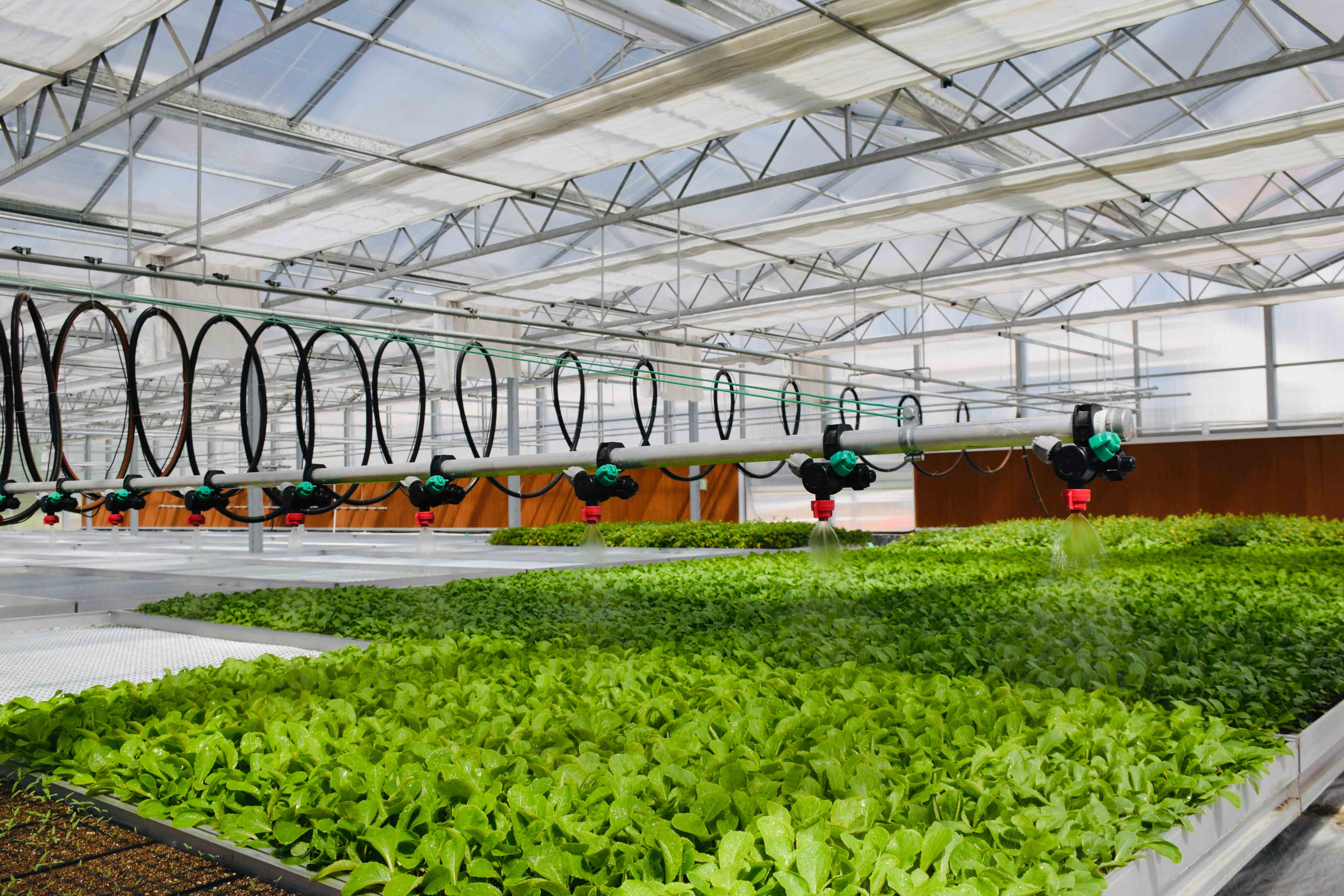 智慧大棚控制管理系統(tǒng)