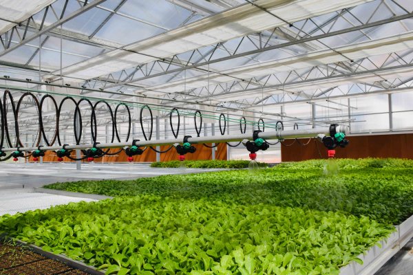 智慧大棚控制管理系統(tǒng)