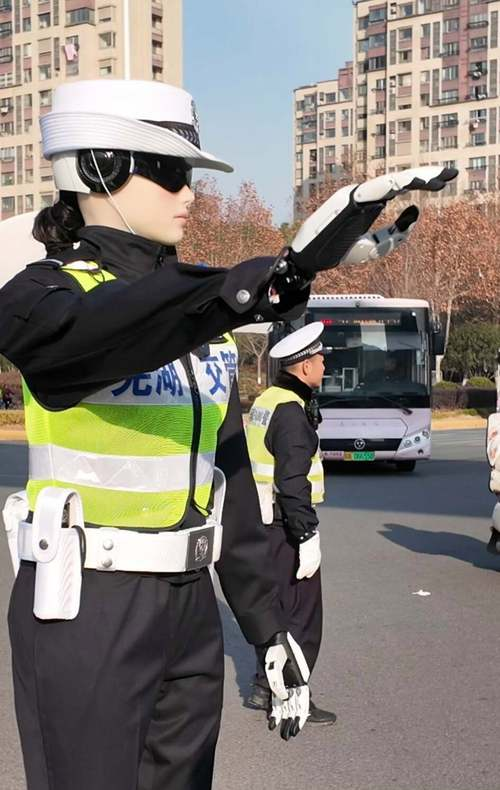 “國際水準生態島”崇明區智能化項目規劃建議202601