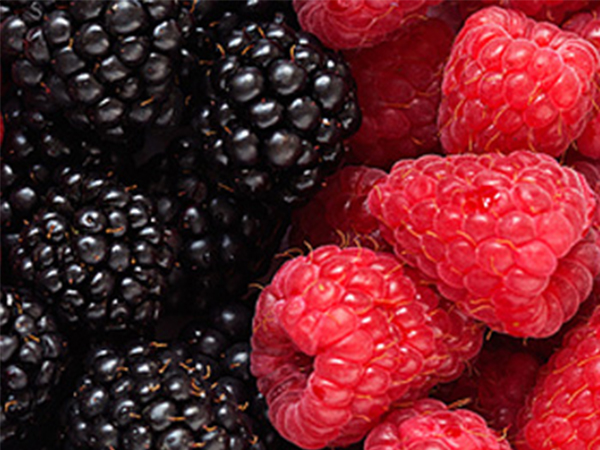 手把手教你如何選擇視頻會議USB攝像頭