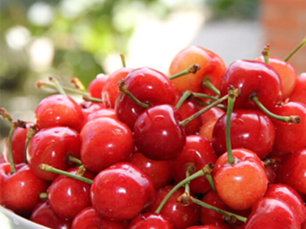 芯片CRA角度與鏡頭的匹配關系（一）