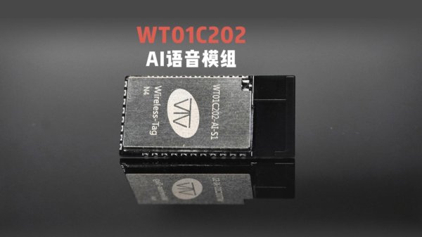 WT01C202-AI語(yǔ)音交互模組