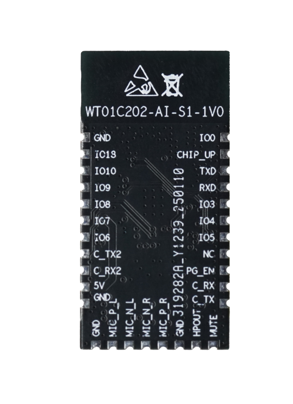 WT01C202-AI語(yǔ)音交互模組