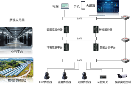 魚菜共生產業化服務平臺 （FVS）