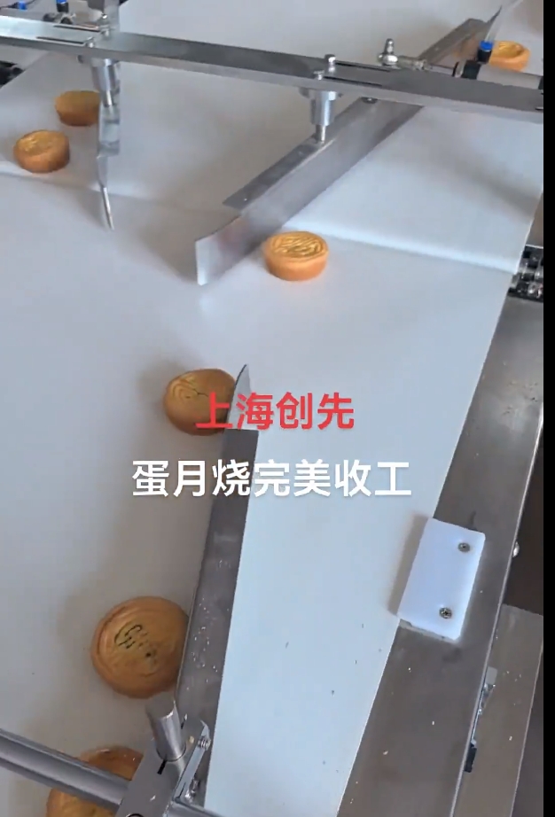 全自動(dòng)理料包裝生產(chǎn)線