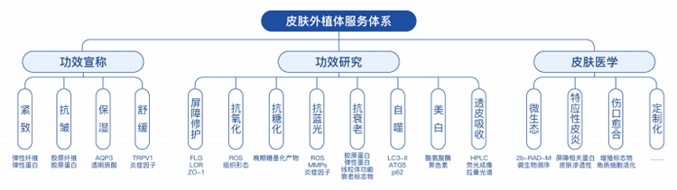 皮肤外植体测试：化妆品功效研究循证新路径