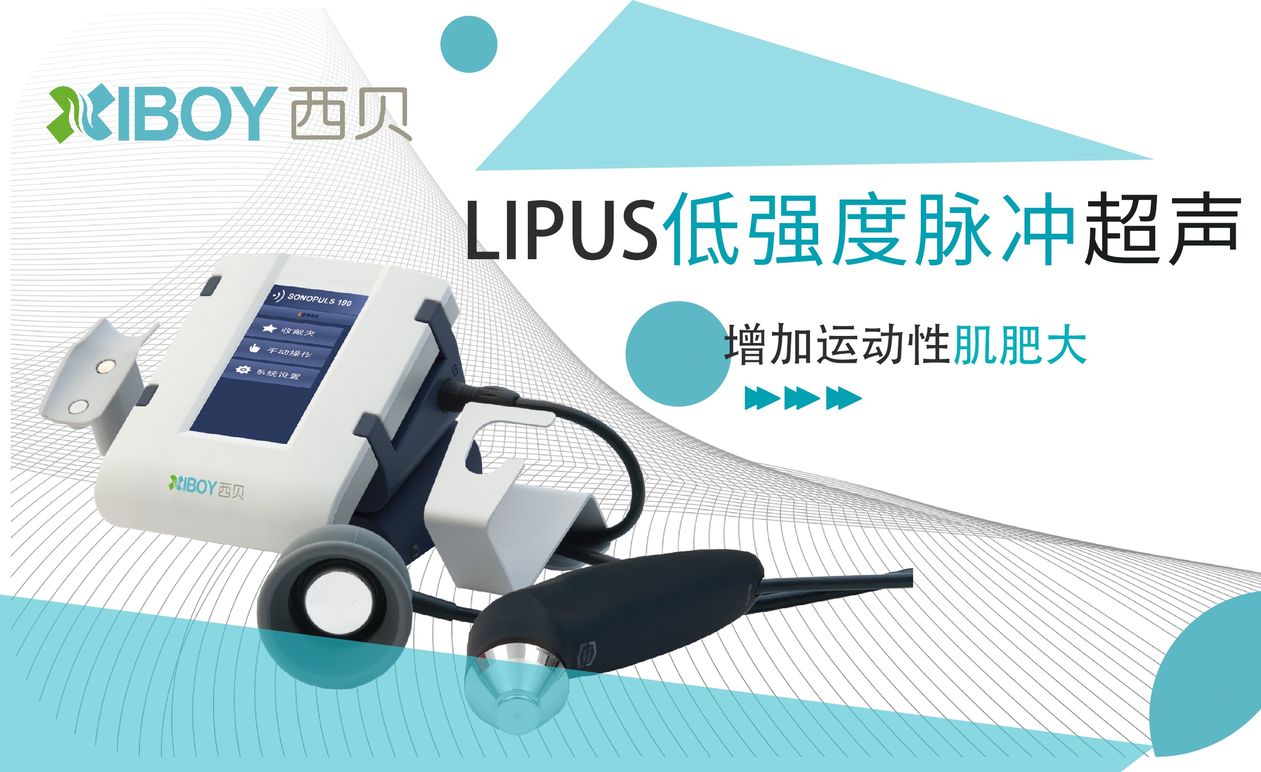 LIPUS促進運動性肌肥大