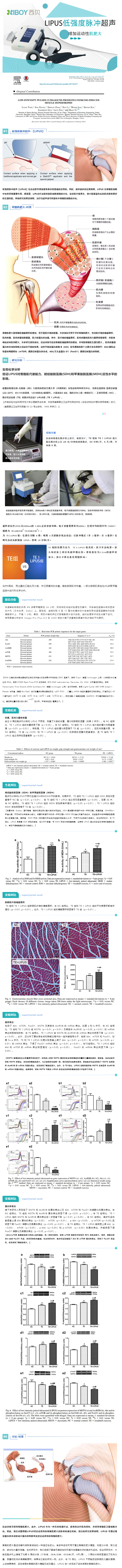 低強(qiáng)度脈沖超聲LIPUS