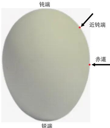 近紅外光譜技術實現雞蛋營養無損檢測