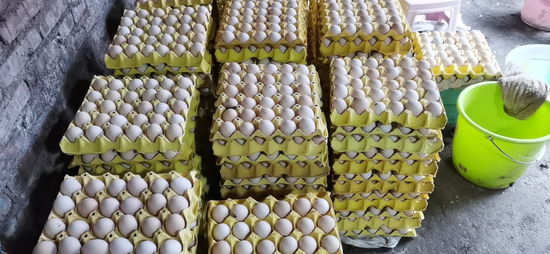 成都土雞蛋批發(fā)行情：動(dòng)態(tài)與機(jī)遇