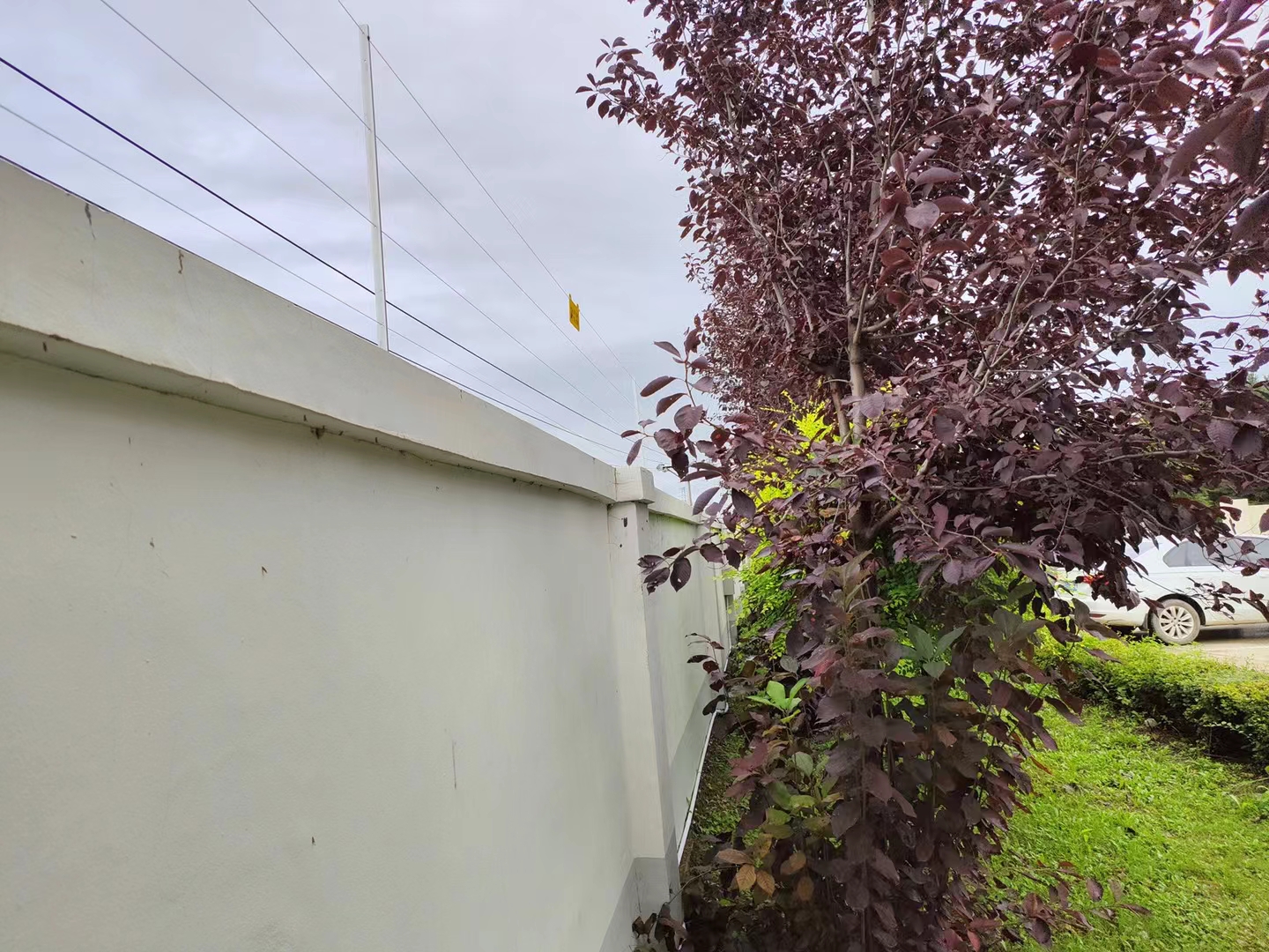 黑龍江虎林市油庫張力電子圍欄案例