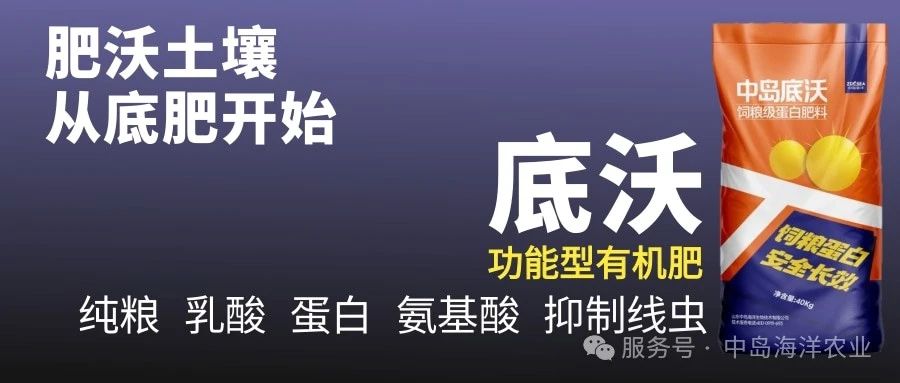 中島底沃飼糧級蛋白肥料