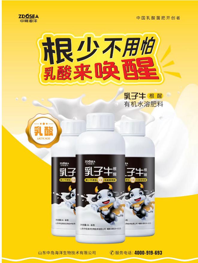 乳子牛