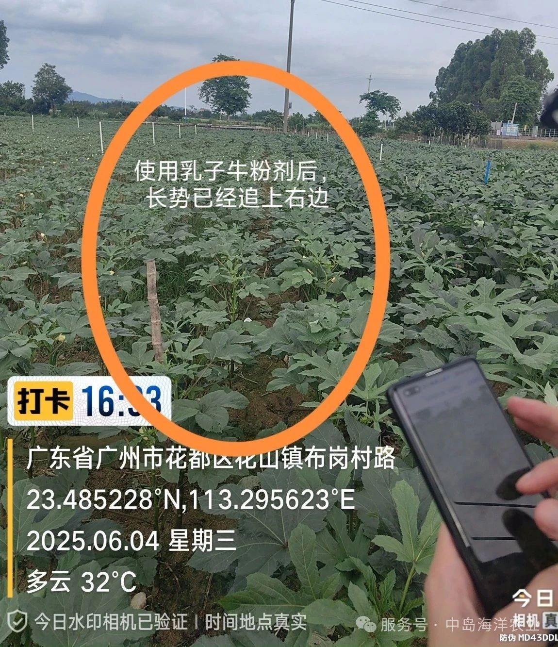 試驗回訪
