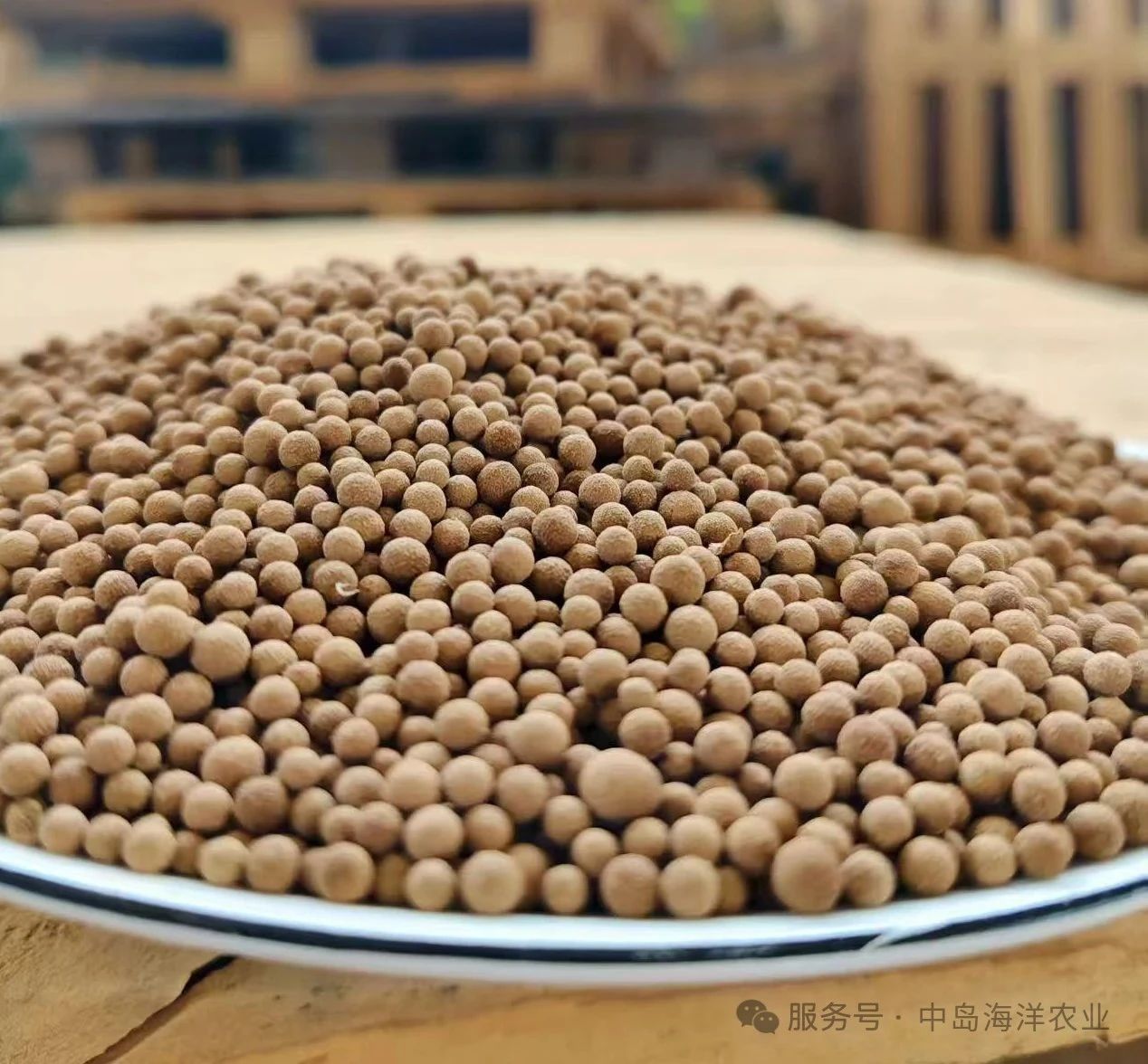乳子牛撒溶黃金豆