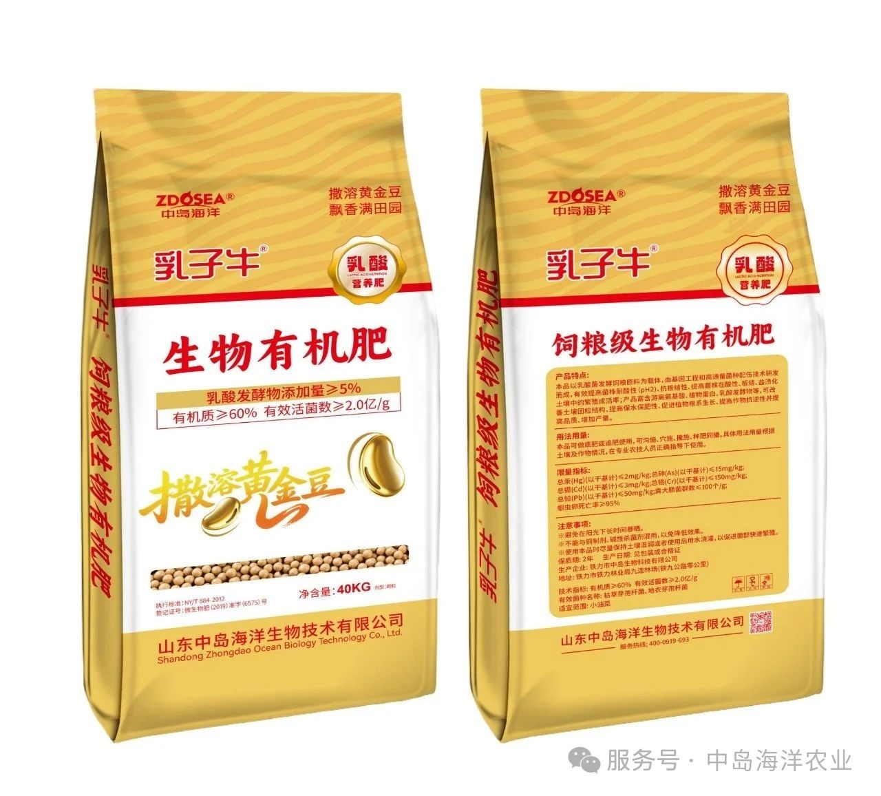 乳子牛撒溶黃金豆