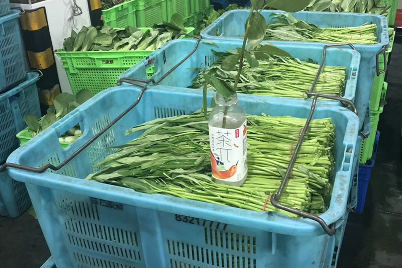 學(xué)校食材配送