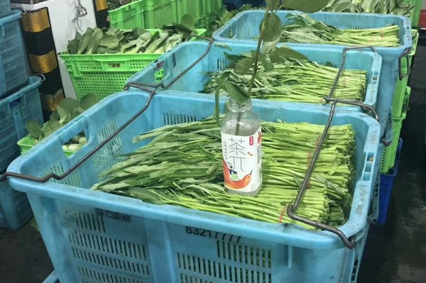 學(xué)校食材配送