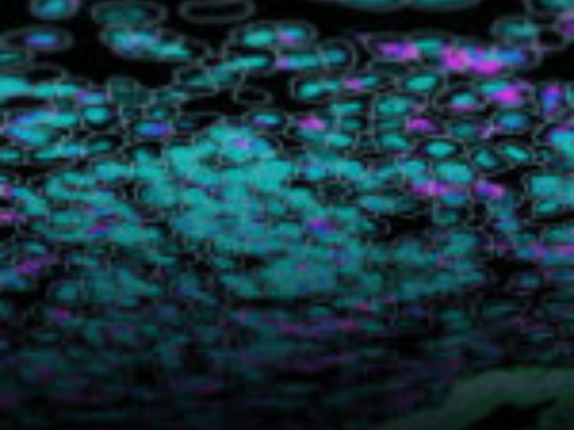 認可空間多組學用戶體驗,空間多組學