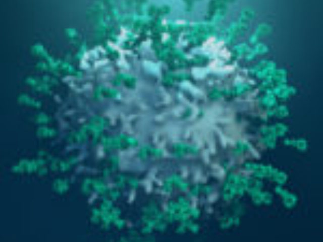 SENTERRA II空间多组学销售电话