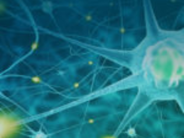 本地空间多组学联系方式,空间多组学