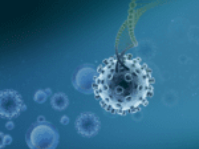 在線空間多組學市場報價,空間多組學