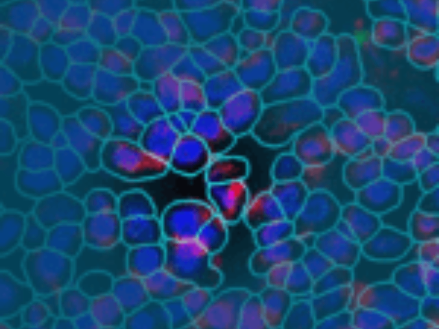 智能空間多組學用戶體驗,空間多組學