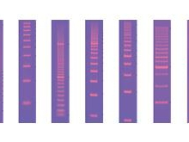 原子力标样标样标尺预算