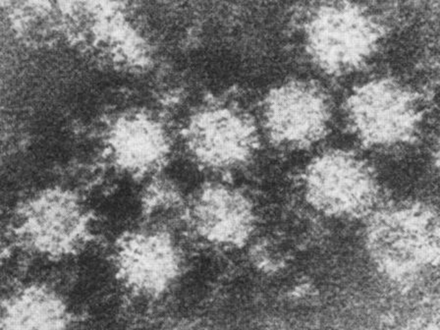 質(zhì)量控制標(biāo)樣標(biāo)尺供應(yīng)商家,標(biāo)樣標(biāo)尺