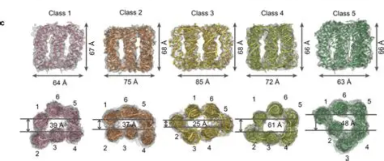 百纳米标样标尺销售价格,标样标尺