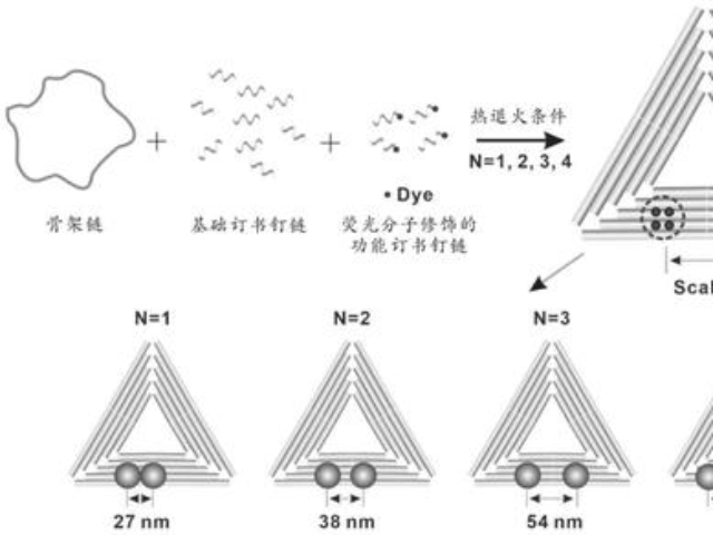 質量控制標樣標尺供應商家