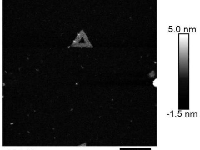 滅活病毒標樣標尺貨源充足,標樣標尺