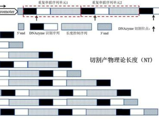 質(zhì)量控制標(biāo)樣標(biāo)尺供應(yīng)商家,標(biāo)樣標(biāo)尺