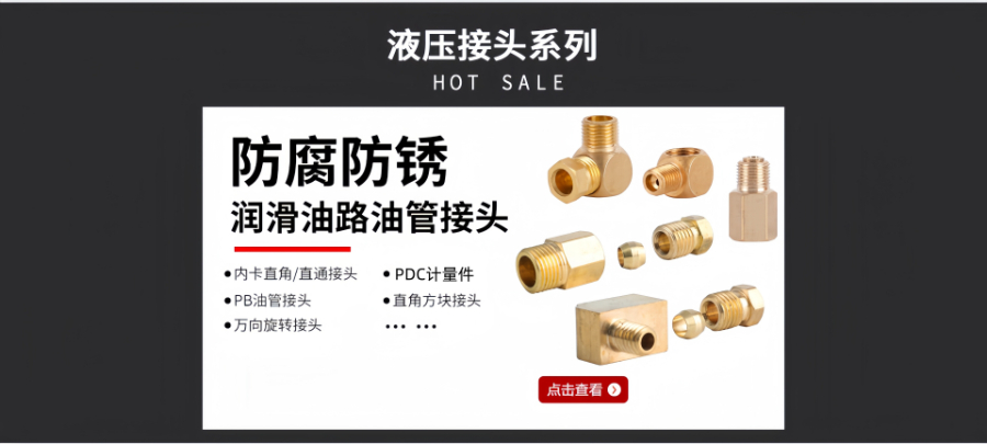 甘肅壓鑄機分配器 創(chuàng)新服務 寧波百浪潤滑元件供應