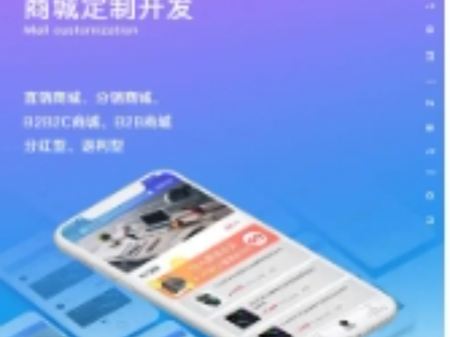 金山区软件开发服务电话