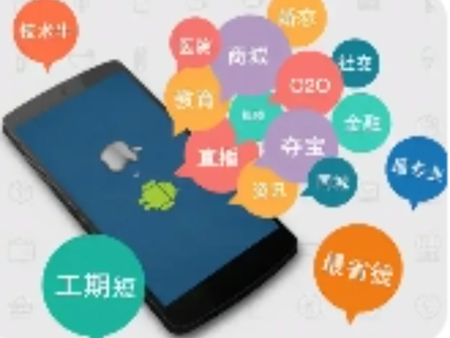上海现代软件开发