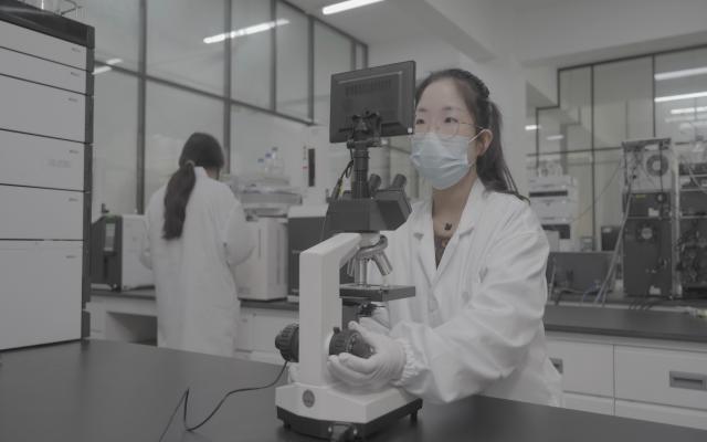 安徽可持續(xù)藻油EPA原料是什么 脂禾生物科技供應(yīng)