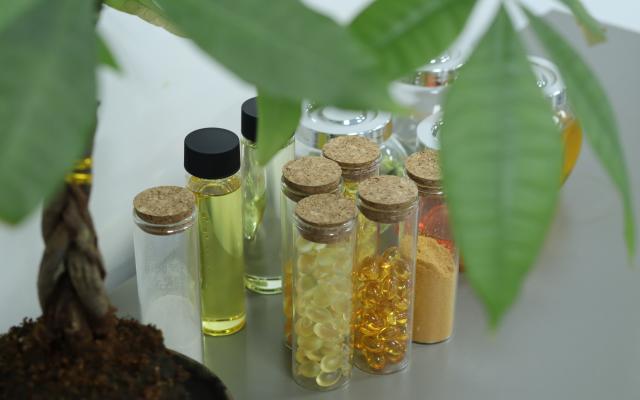 北京无腥味藻油DHA原料定制方案 脂禾生物科技供应