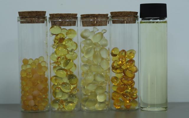 安徽水溶性藻油DHA原料生產(chǎn)廠家 脂禾生物科技供應