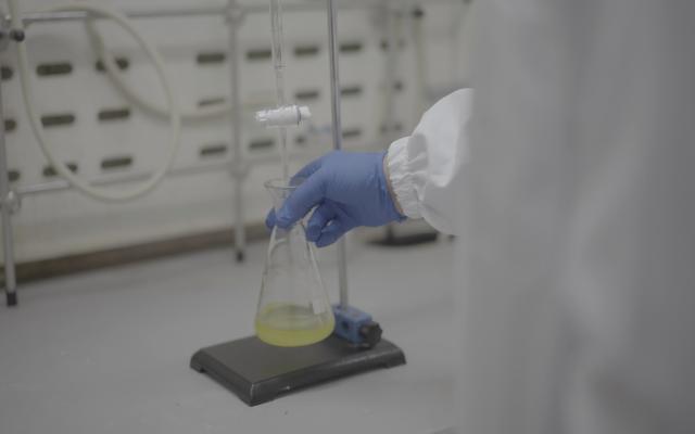 安徽高純度藻油EPA原料批發價 脂禾生物科技供應