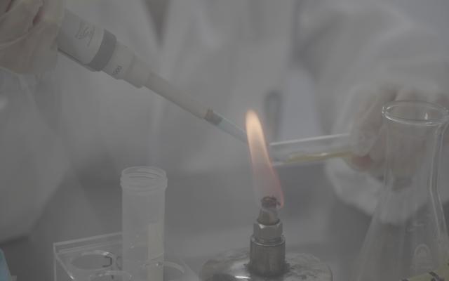 上海食品藻油DHA原料售后服務有哪些 脂禾生物科技供應