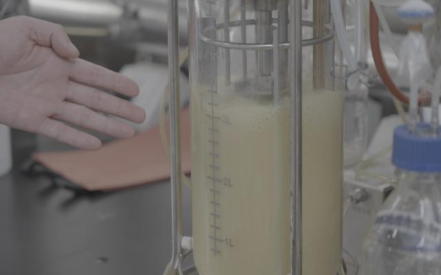 告別海洋污染，藻源EPA原料的純凈供應鏈如何構建？