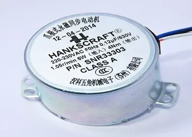 Micro AC synchronous Motor