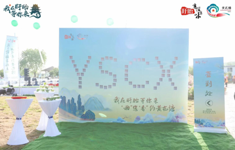 四川学校活动策划,活动策划