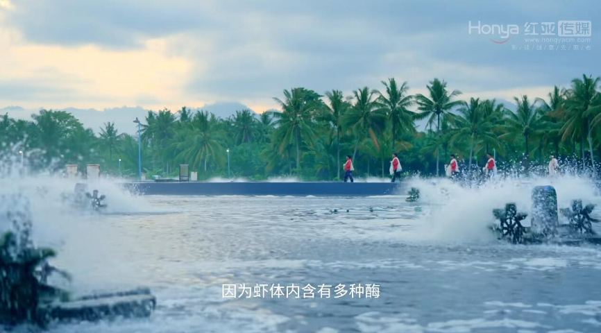 成都医院微电影案例机构 成都红亚文化传媒供应