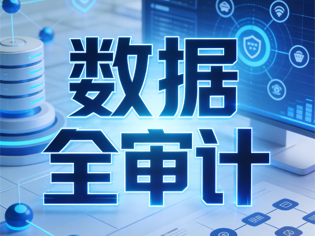 朔州技術數(shù)據(jù)安全審計企業(yè)安全能力提升方案,數(shù)據(jù)安全審計