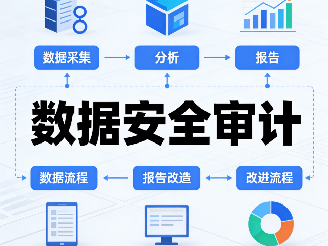 朔州技術數(shù)據(jù)安全審計企業(yè)安全能力提升方案,數(shù)據(jù)安全審計