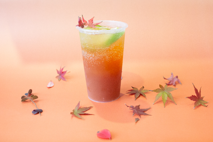 江蘇國產(chǎn)泰茶生產(chǎn)企業(yè) 官岳茶業(yè)供應