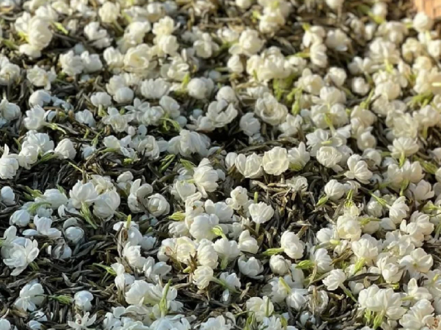 四川紅茶茶葉供應商家 官岳茶業供應