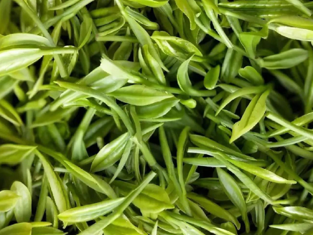 云南定制茶葉生產(chǎn)企業(yè) 官岳茶業(yè)供應(yīng)